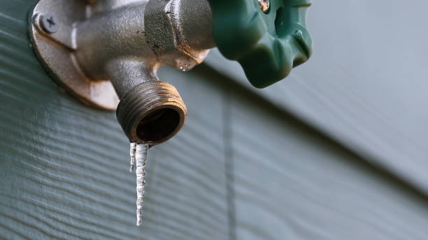 Best Local Plumber Services  in Tyler, MN